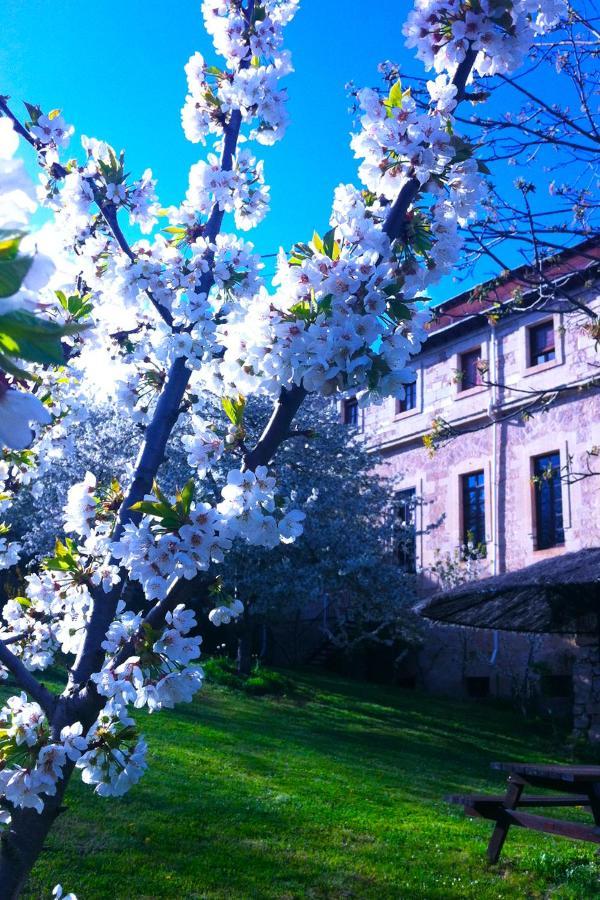 Quintana de Valdivielso Arte Y Natura Valdivielso מראה חיצוני תמונה